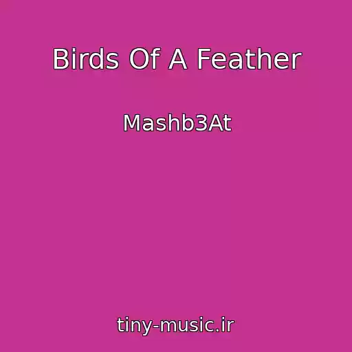 کاور آهنگ Birds Of A Feather از Mashb3At