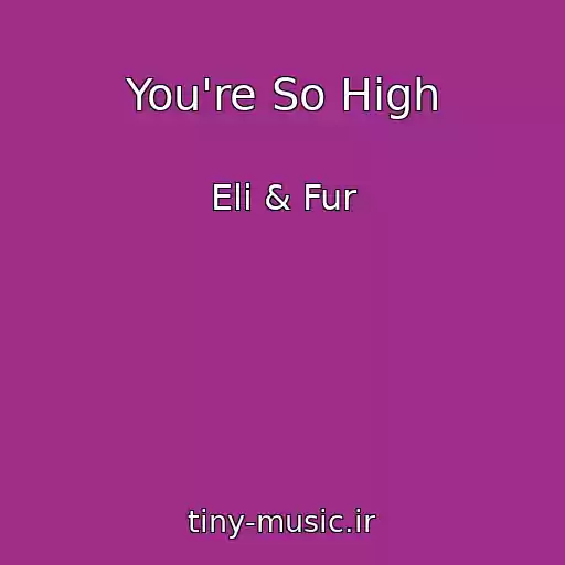 کاور آهنگ You're So High از Eli & Fur