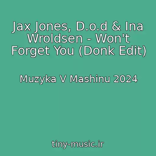 کاور آهنگ Jax Jones, D.o.d & Ina Wroldsen - Won't Forget You (Donk Edit) از Muzyka V Mashinu 2024