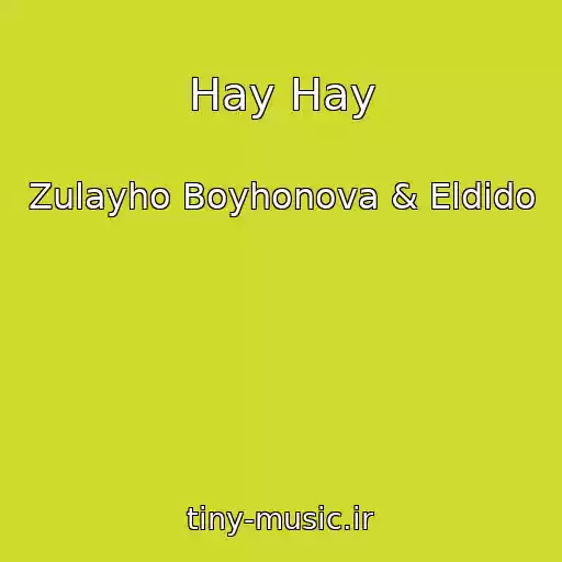کاور آهنگ Hay Hay از Zulayho Boyhonova & Eldido