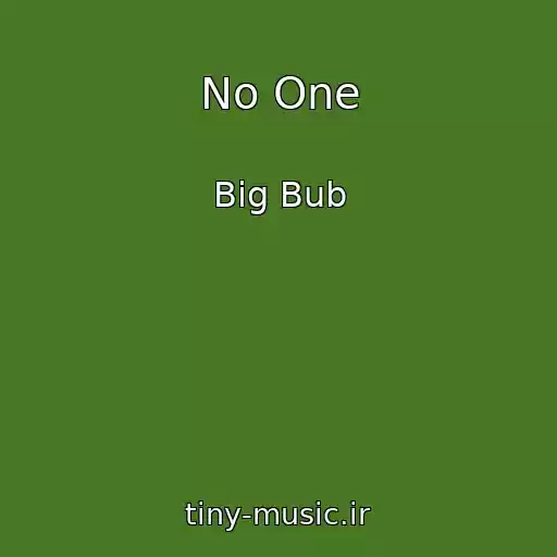 کاور آهنگ No One از Big Bub