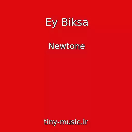 کاور آهنگ Ey Biksa از Newtone