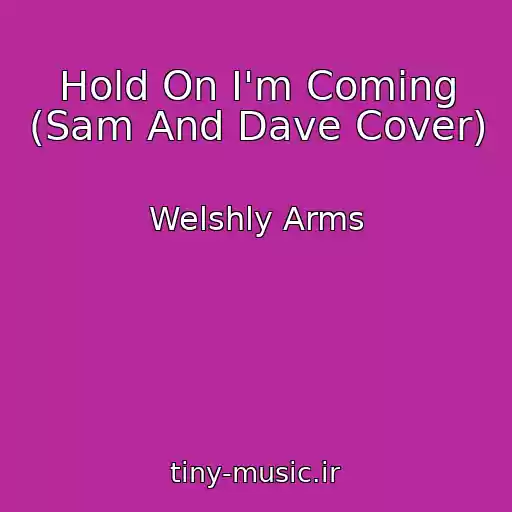 کاور آهنگ Hold On I'm Coming (Sam And Dave Cover) از Welshly Arms