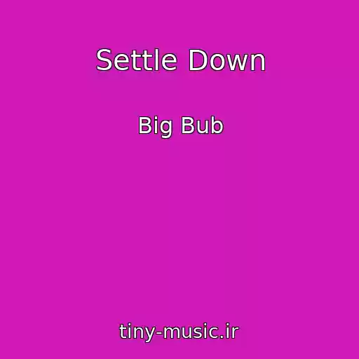 کاور آهنگ Settle Down از Big Bub