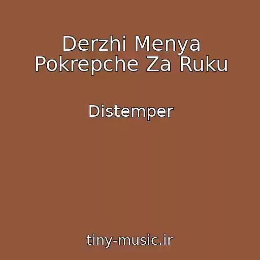 کاور آهنگ Derzhi Menya Pokrepche Za Ruku از Distemper