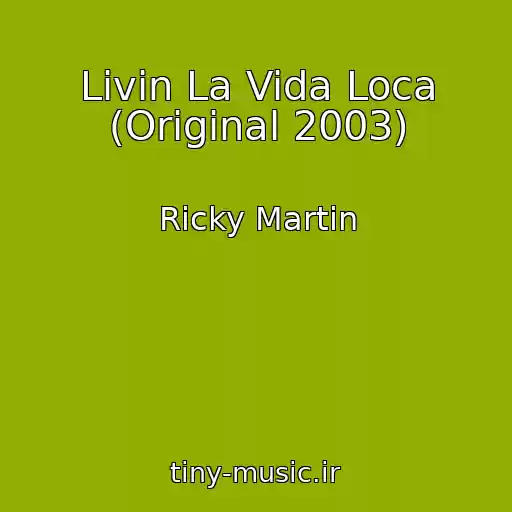 کاور آهنگ Livin La Vida Loca (Original 2003) از Ricky Martin