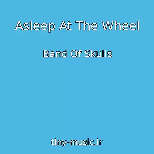 کاور آهنگ Asleep At The Wheel از Band Of Skulls