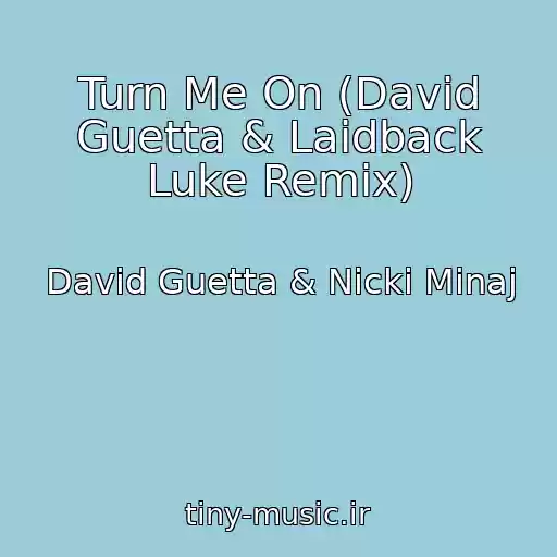 کاور آهنگ Turn Me On (David Guetta & Laidback Luke Remix) از David Guetta & Nicki Minaj