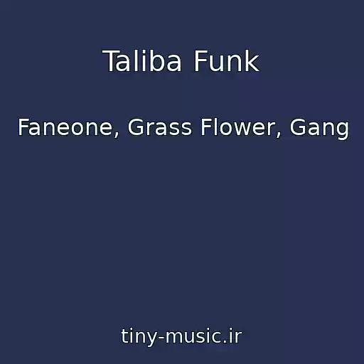 کاور آهنگ Taliba Funk از Faneone, Grass Flower, Gang
