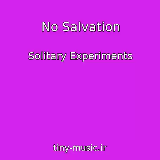 کاور آهنگ No Salvation از Solitary Experiments