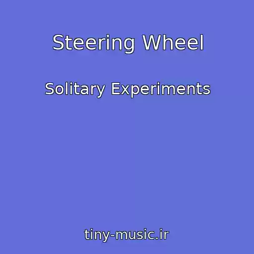 کاور آهنگ Steering Wheel از Solitary Experiments