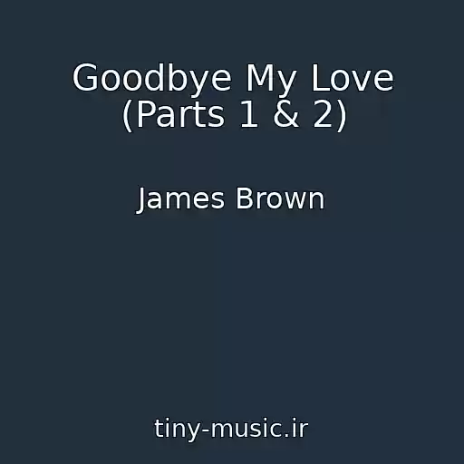 کاور آهنگ Goodbye My Love (Parts 1 & 2) از James Brown