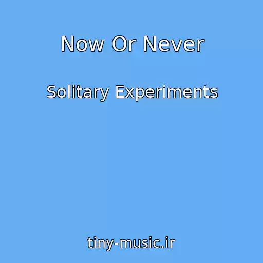 کاور آهنگ Now Or Never از Solitary Experiments