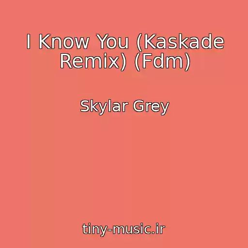 کاور آهنگ I Know You (Kaskade Remix) (Fdm) از Skylar Grey