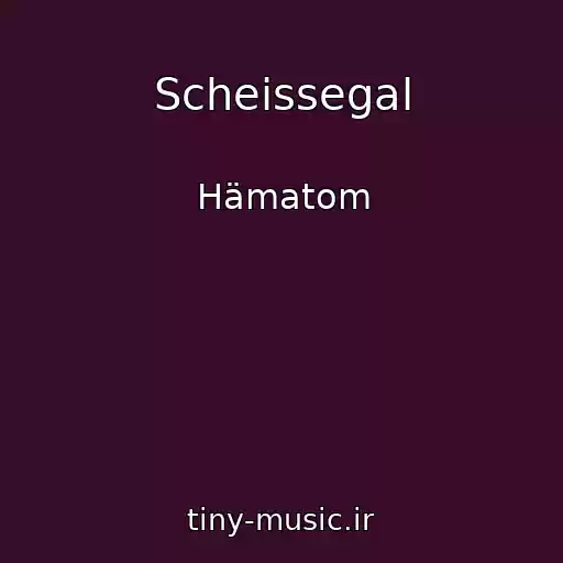 کاور آهنگ Scheissegal از Hämatom