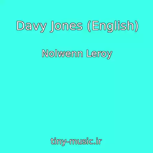 کاور آهنگ Davy Jones (English) از Nolwenn Leroy