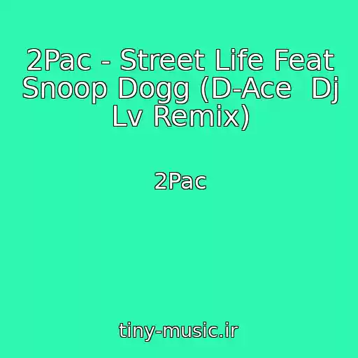 کاور آهنگ 2Pac - Street Life Feat Snoop Dogg (D-Ace  Dj Lv Remix) از 2Pac