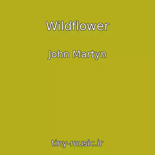 کاور آهنگ Wildflower از John Martyn