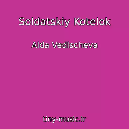 کاور آهنگ Soldatskiy Kotelok از Aida Vedischeva