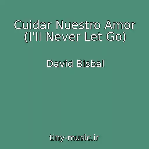 کاور آهنگ Cuidar Nuestro Amor (I'll Never Let Go) از David Bisbal