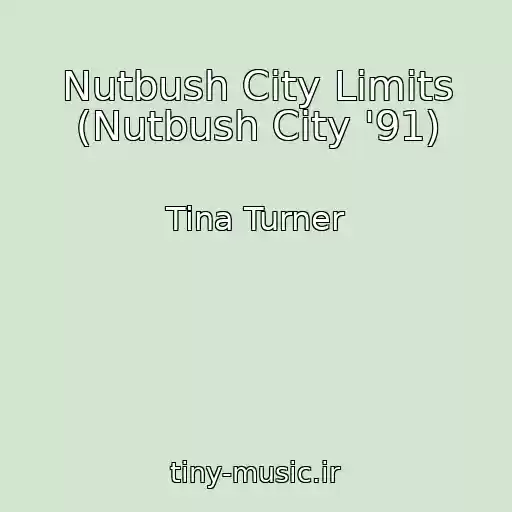 کاور آهنگ Nutbush City Limits (Nutbush City '91) از Tina Turner