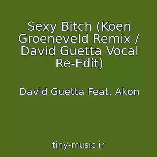 کاور آهنگ Sexy Bitch (Koen Groeneveld Remix / David Guetta Vocal Re-Edit) از David Guetta Feat. Akon