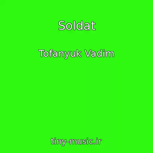 کاور آهنگ Soldat از Tofanyuk Vadim
