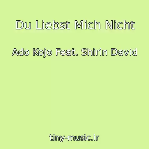 کاور آهنگ Du Liebst Mich Nicht از Ado Kojo Feat. Shirin David