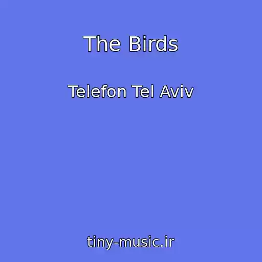 کاور آهنگ The Birds از Telefon Tel Aviv