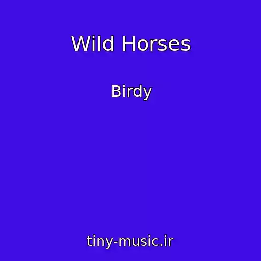 کاور آهنگ Wild Horses از Birdy