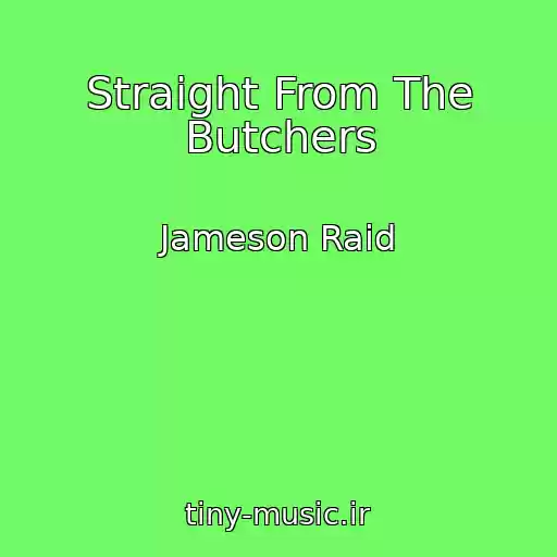 کاور آهنگ Straight From The Butchers از Jameson Raid
