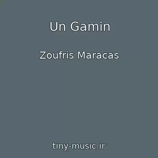 کاور آهنگ Un Gamin از Zoufris Maracas