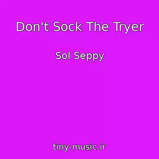 کاور آهنگ Don't Sock The Tryer از Sol Seppy