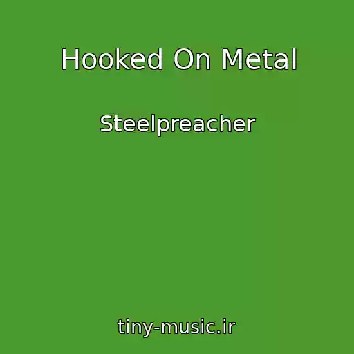کاور آهنگ Hooked On Metal از Steelpreacher