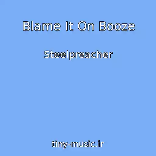 کاور آهنگ Blame It On Booze از Steelpreacher