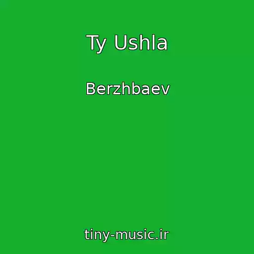 کاور آهنگ Ty Ushla از Berzhbaev