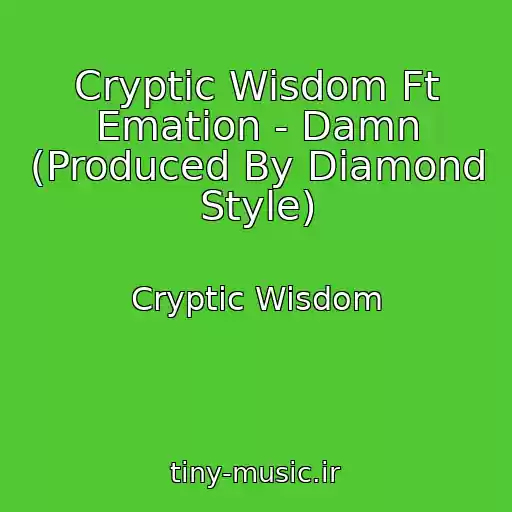 کاور آهنگ Cryptic Wisdom Ft Emation - Damn (Produced By Diamond Style) از Cryptic Wisdom