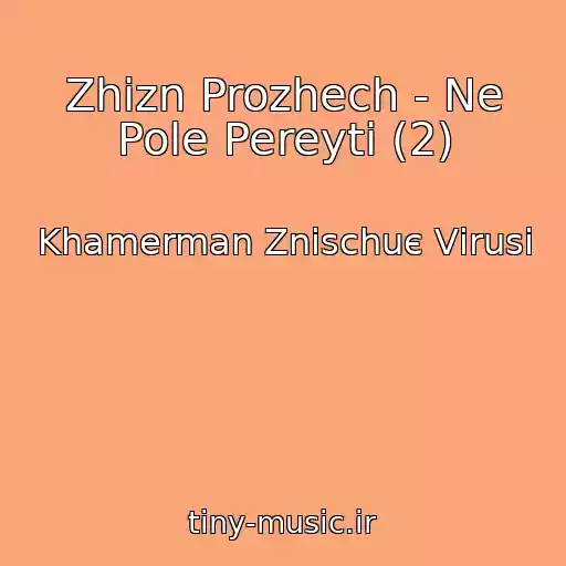 کاور آهنگ Zhizn Prozhech - Ne Pole Pereyti (2) از Khamerman Znischuє Vіrusi