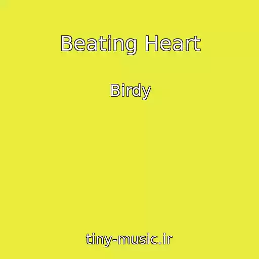 کاور آهنگ Beating Heart از Birdy