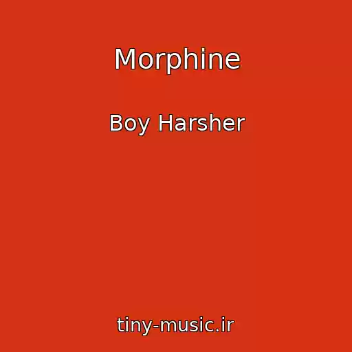 کاور آهنگ Morphine از Boy Harsher