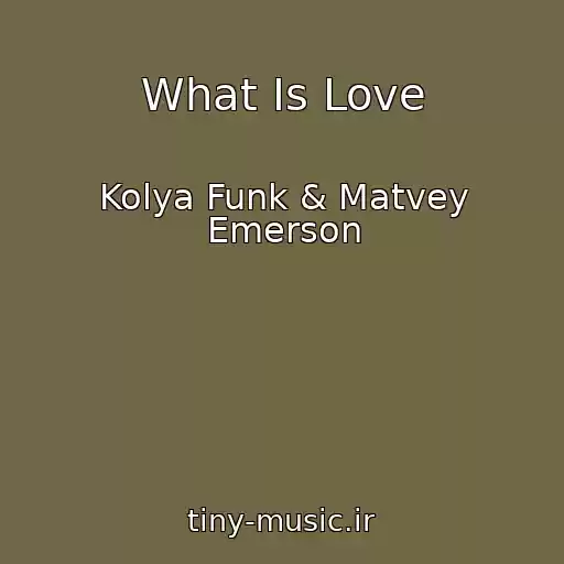 کاور آهنگ What Is Love از Kolya Funk & Matvey Emerson