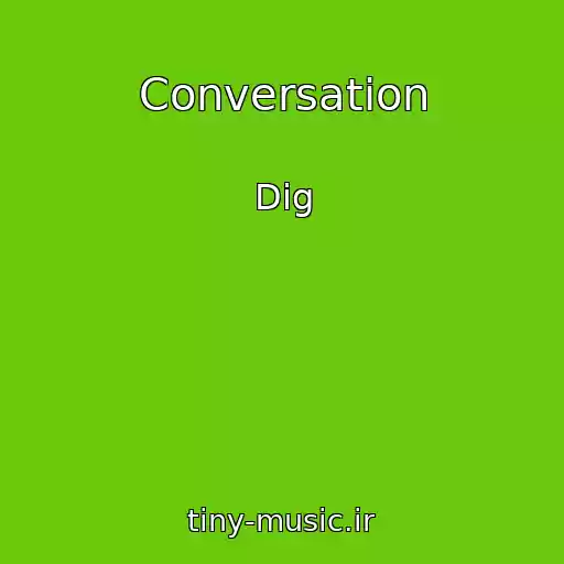 کاور آهنگ Conversation از Dig