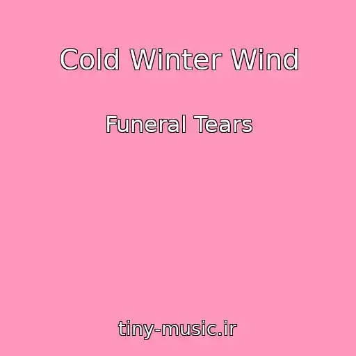 کاور آهنگ Cold Winter Wind از Funeral Tears