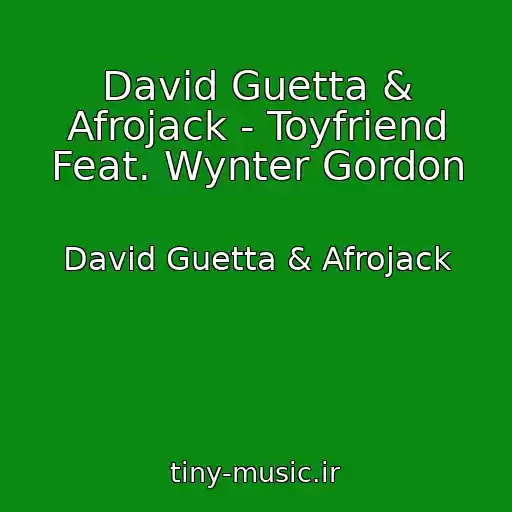 کاور آهنگ David Guetta & Afrojack - Toyfriend Feat. Wynter Gordon از David Guetta & Afrojack