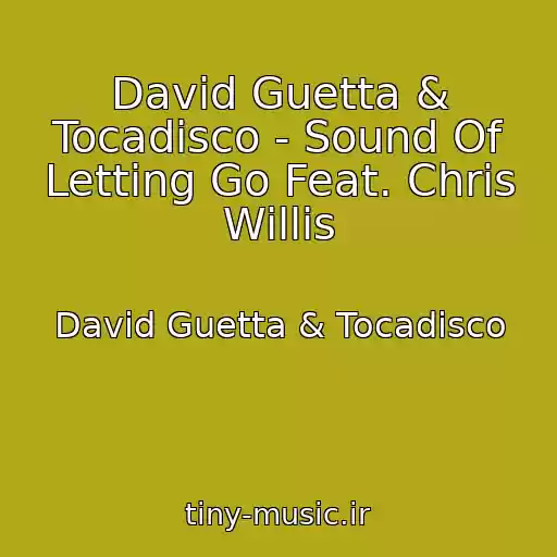 کاور آهنگ David Guetta & Tocadisco - Sound Of Letting Go Feat. Chris Willis از David Guetta & Tocadisco