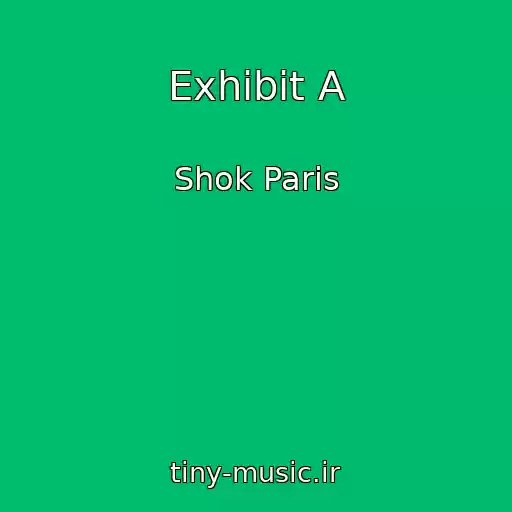کاور آهنگ Exhibit A از Shok Paris
