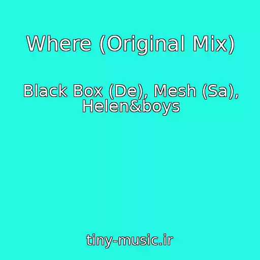 کاور آهنگ Where (Original Mix) از Black Box (De), Mesh (Sa), Helen&boys