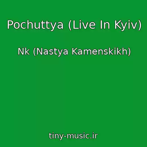کاور آهنگ Pochuttya (Live In Kyiv) از Nk (Nastya Kamenskikh)