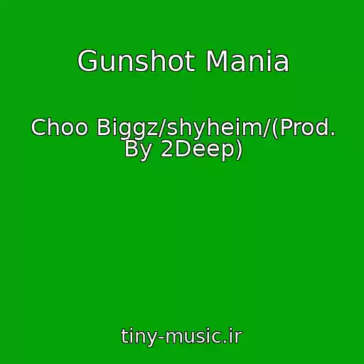 کاور آهنگ Gunshot Mania از Choo Biggz/shyheim/(Prod. By 2Deep)