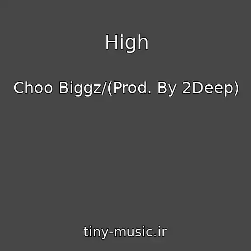 کاور آهنگ High از Choo Biggz/(Prod. By 2Deep)